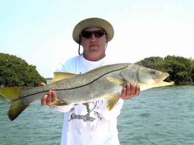 Nicholas Mahinis 38 inch Snook